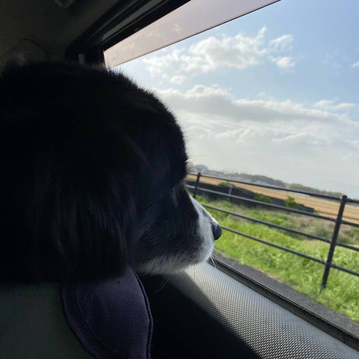 38209418 3717 4c2a 89f8 317e32ba96d4 1684793148110