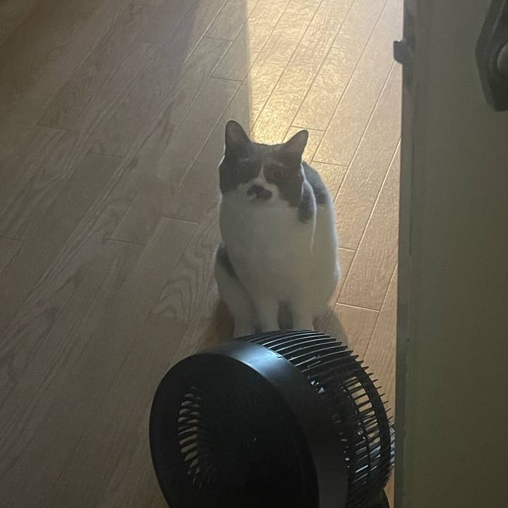 38209b91 7320 4dbf 911b 6ead182e4733 1755157421957