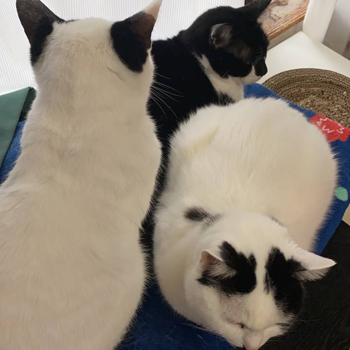 3820a2ae c2fd 4cfd a783 483e02e1437b 1708780091347