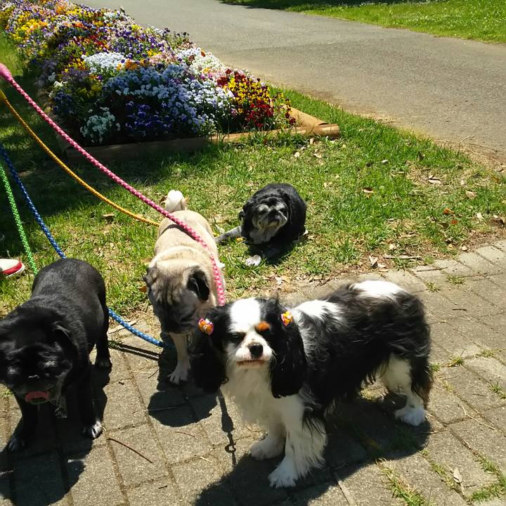 3820ae3b dbfc 441e 85d7 7704bd6da1f6 1527600531741