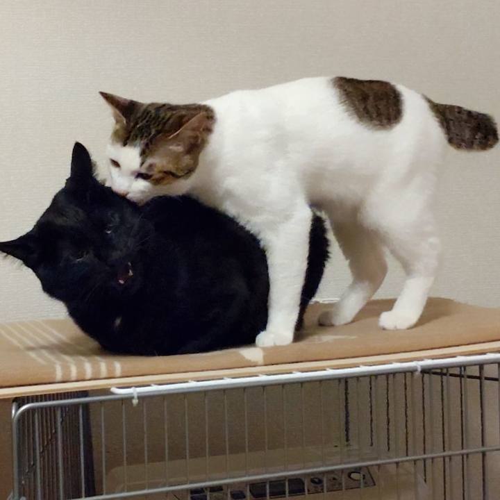 3820b595 b47b 46cd b7bd a907e1888d83 1647687343334