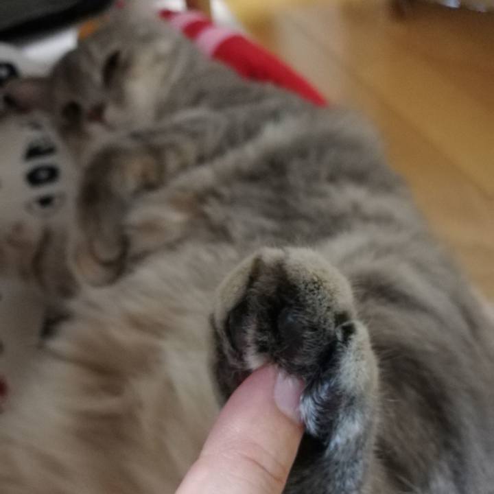 3820e045 0d34 4f50 ac97 7b4bbb6c30d2 1532914477979