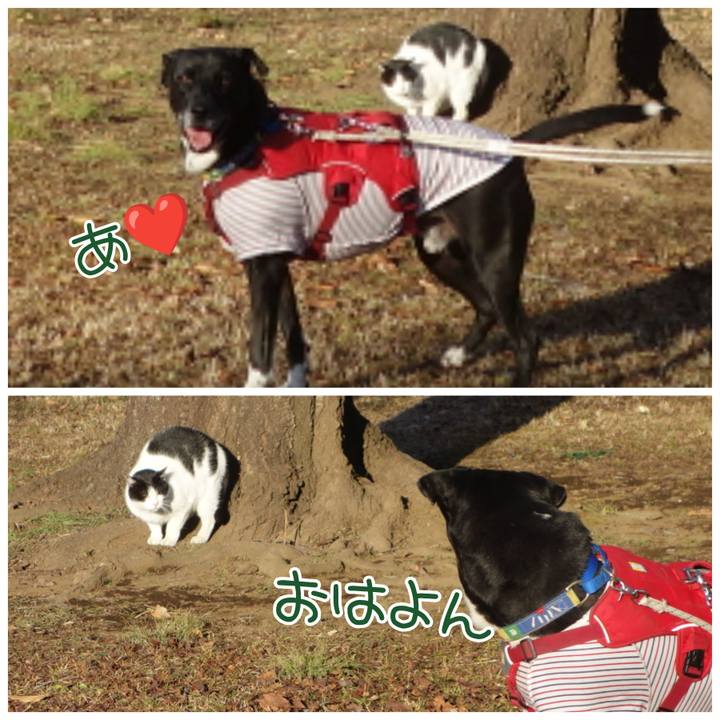 3820f27f 446e 4d20 a6ac 3dd240ce1ef0 1673489575755