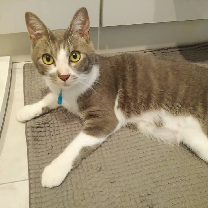 3820ff1c df99 4ac4 bb40 df94773c413f 1594282421920