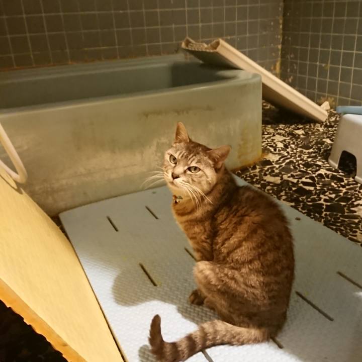 38210236 f885 460e 9abe 5a913153f478 1570008868549