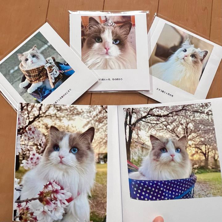 38211b64 c1ca 4142 a0d5 6e99cf73a416 1651096838931