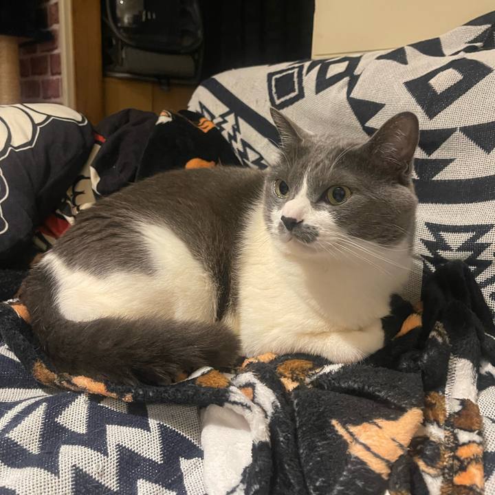 38212da0 c06b 49ff 9a3e 797ed7a09a8f 1741865810960