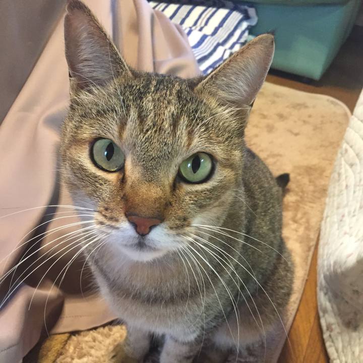 382136dc 3d68 44b3 bbc4 b2e09f532b74 1577055104396