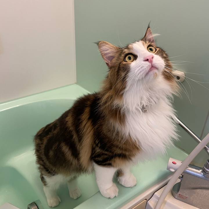 38217b37 ac51 473e 992d 2ef542165a82 1656365373401