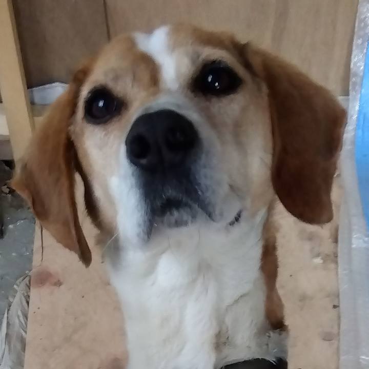 38218528 1c1a 487e 815c 2d08147a866b 1681279488268