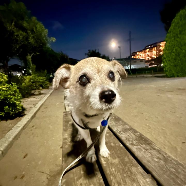 3821aa35 ff7e 4f18 9fb0 23a27eddf4bc 1726569949157