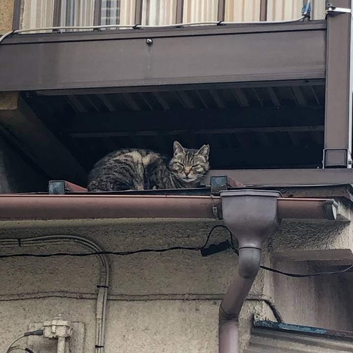 3821de96 b0e2 492f 8f36 fe6291af0557 1555331443570