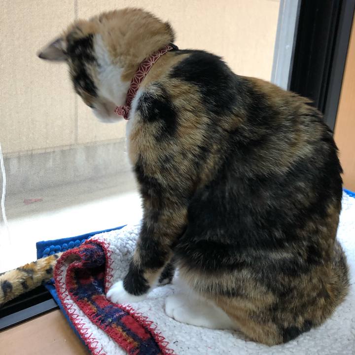 3821f37e 42a2 4394 9502 767b26ec03be 1556077044615