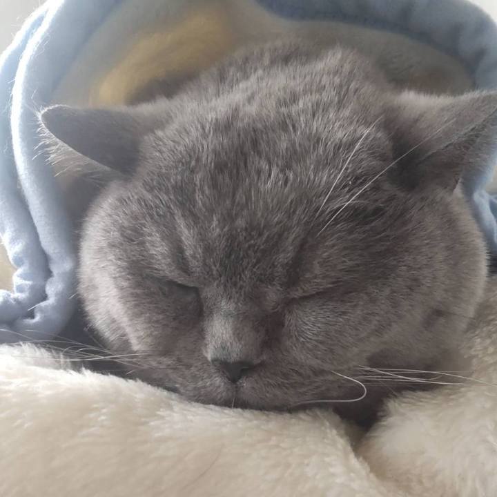 38220085 4ceb 4105 976b 0c2ce61ea126 1740485040117