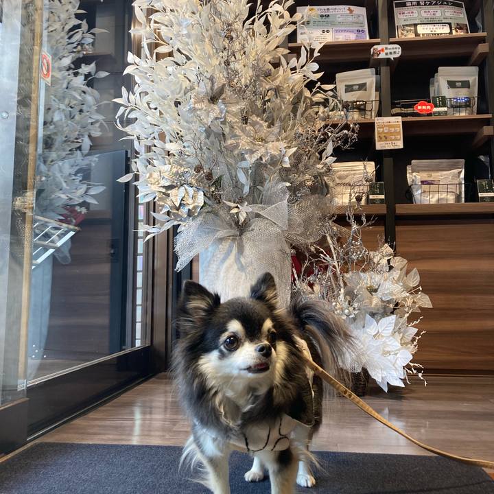 382227d4 6812 4ee3 9798 31fc85ebdfe9 1766388497230