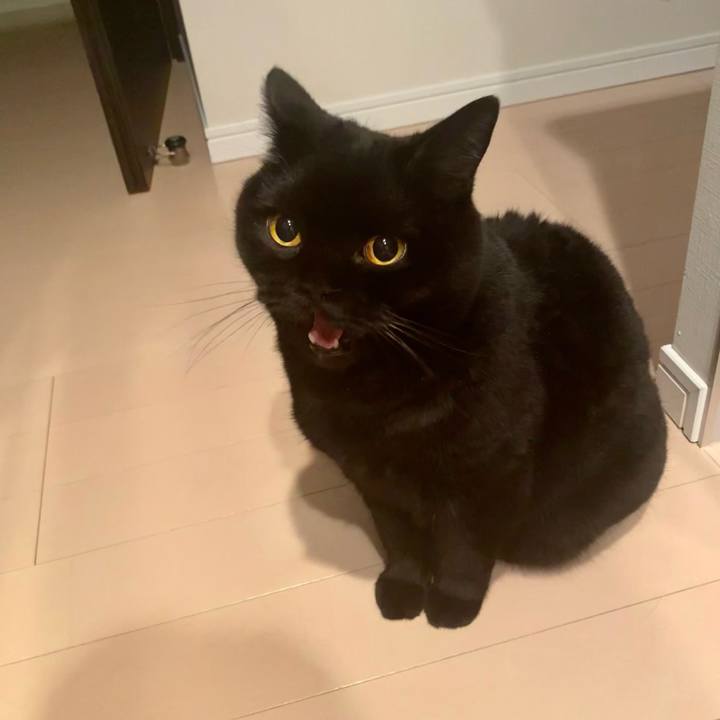 3822400f 44da 42ef a2be ef62ba300450 1760017689554