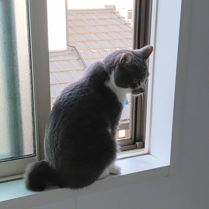 382252e9 3d86 4b3a a791 9dbadc851253 1721945488799