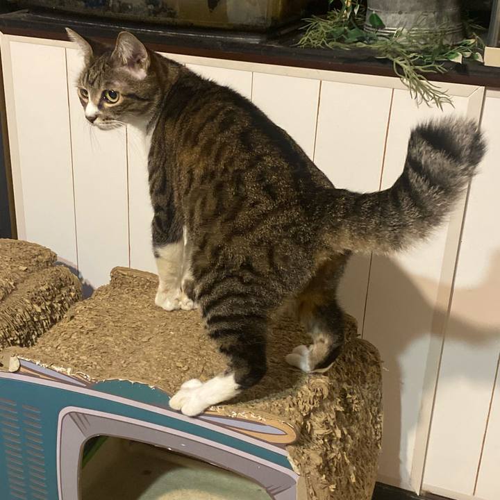 3822872b 80bd 4801 922c d8e234f34d3f 1697273331289