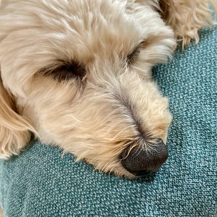 38229315 f938 407a b3b1 33ee1e77771f 1765688597530