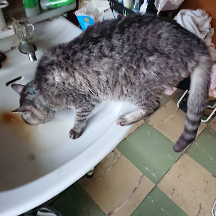 3822a669 d42a 4044 86c5 b19f034bf071 1574459393859