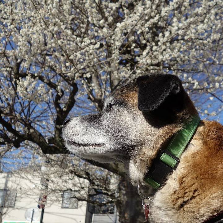 3822b54a 84a9 479e 8b29 37020c919d5c 1520038710789