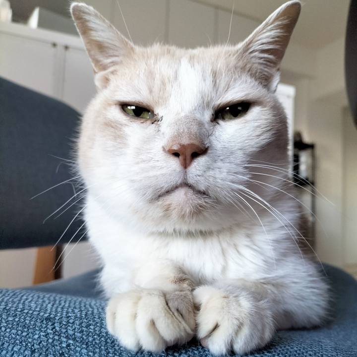 3822b6f1 0902 4be0 94b2 6c957a68d07c 1709245866190