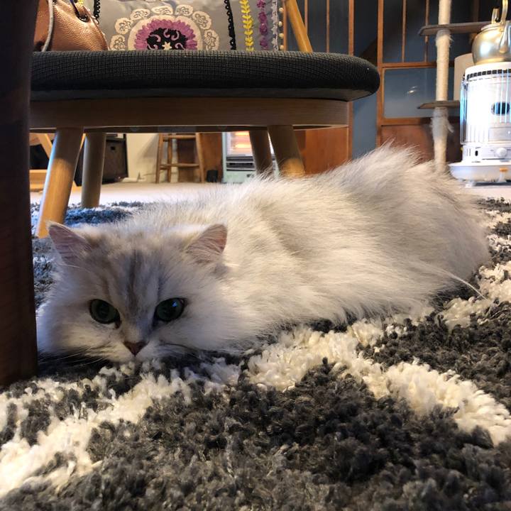 3822bab5 e894 4fe1 ad13 9325bff57755 1618018588633