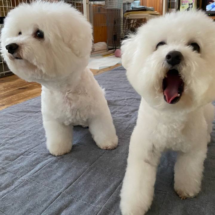 3822c059 7f39 4101 a082 34875a1aff8e 1657589959824