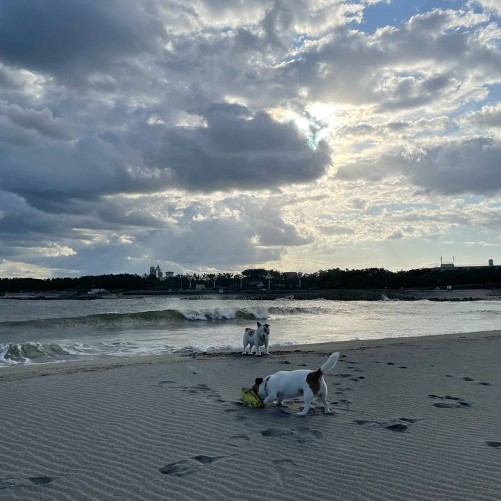 3822c3f8 086c 4a92 b6e7 31508c948e7d 1696205052075