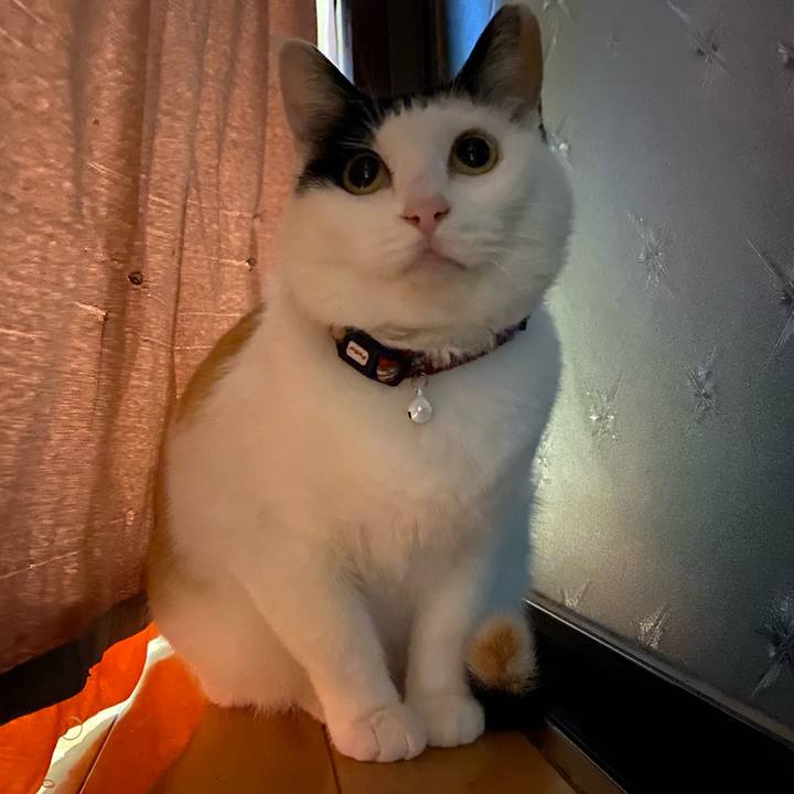 38233c76 5433 4a21 853a db9b3b973087 1650898154096