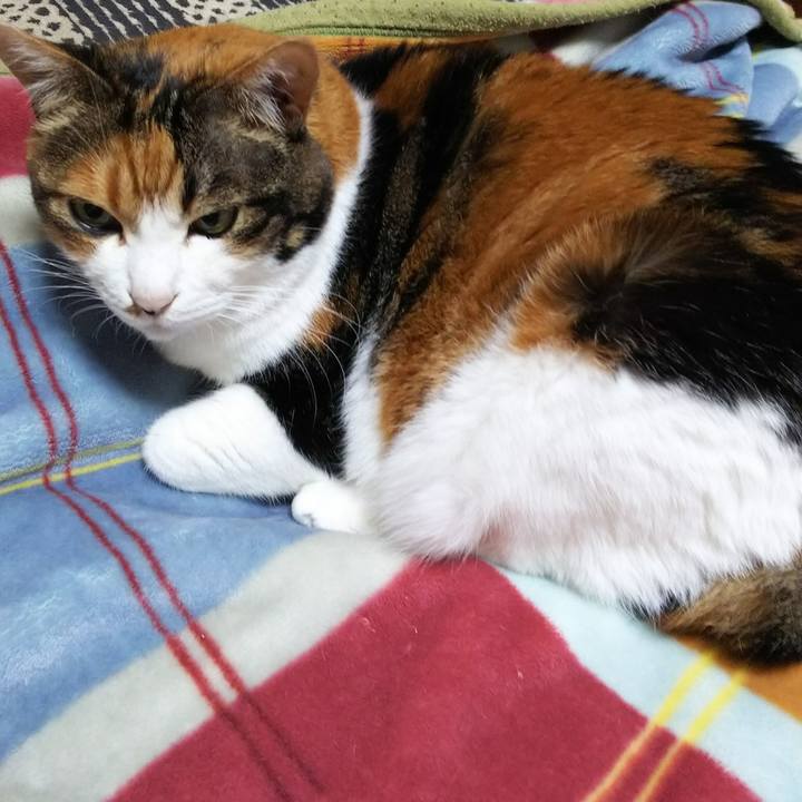 38237783 f98d 43d4 af34 3a305107c7c0 1540417423760