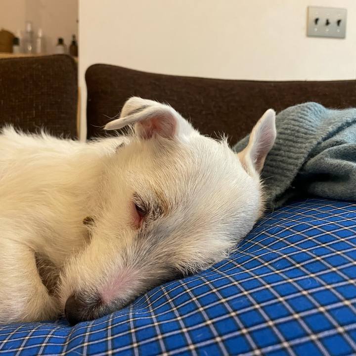 382378f7 1493 4677 a133 41a12aa7b861 1769165313664