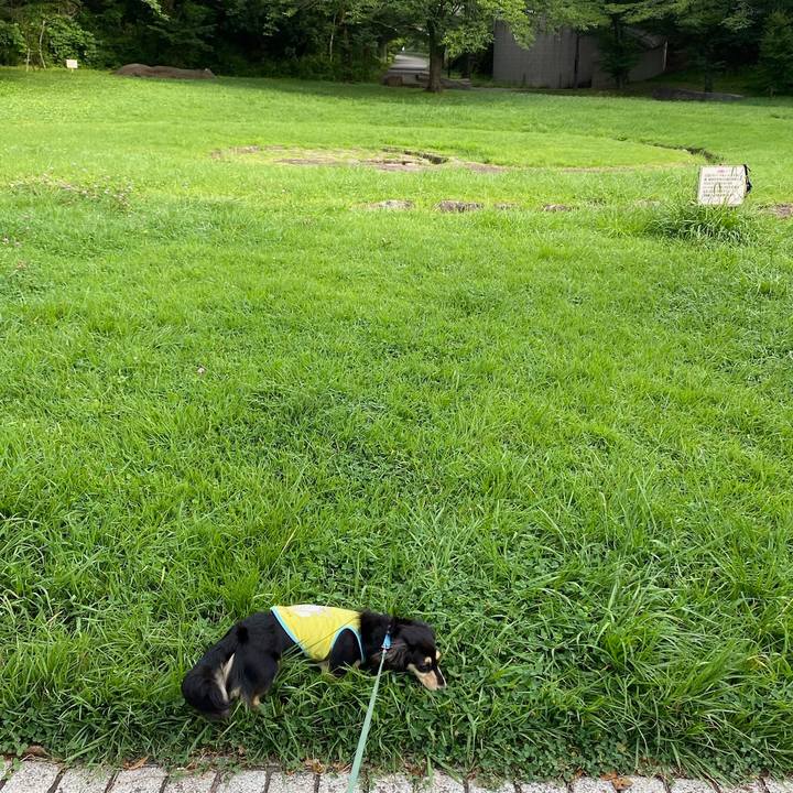 3823a6fb dffb 4f40 86da f49ef11e7d50 1688869136234