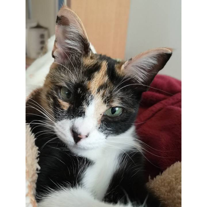 3823a9b2 bf2e 4cc5 9ae8 f1965b15ef76 1606033837700