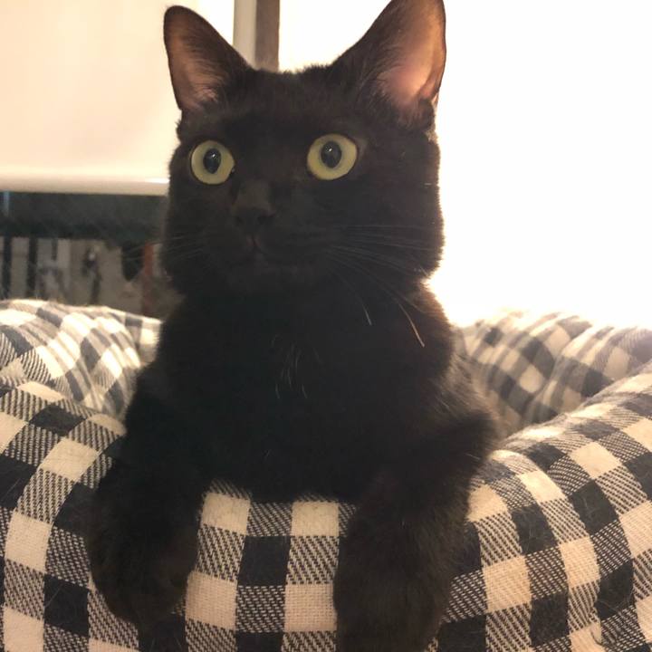 3823b153 4a93 4a53 8ce1 93f952712e52 1507808661837