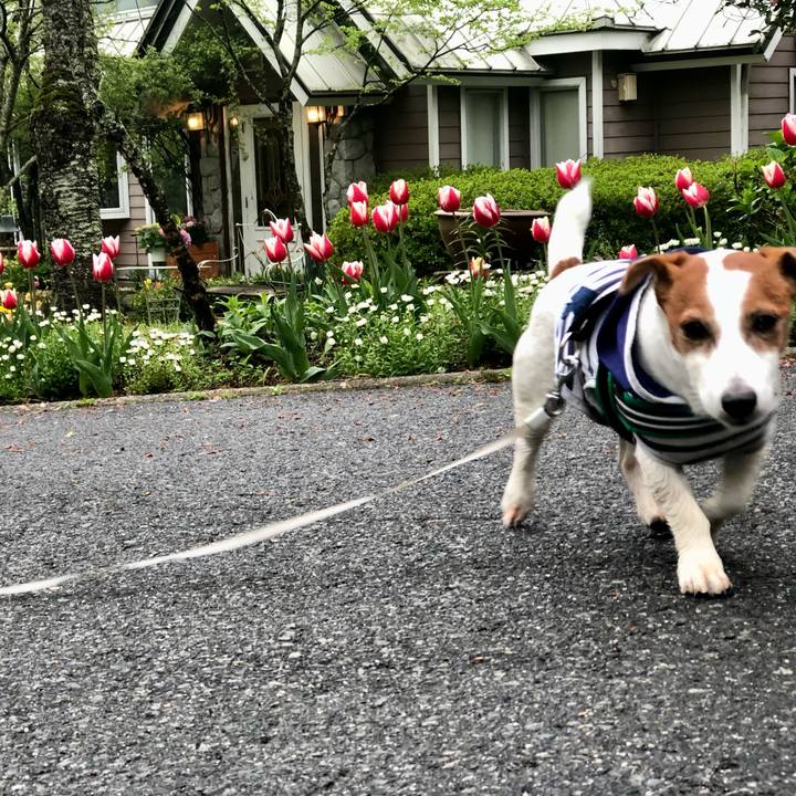 3823eedc 707b 4f0e 950f 827e445103c3 1713751036259