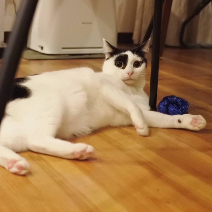 3823f05e f6b5 42f5 9a15 dcbb378c77d1 1518098133602