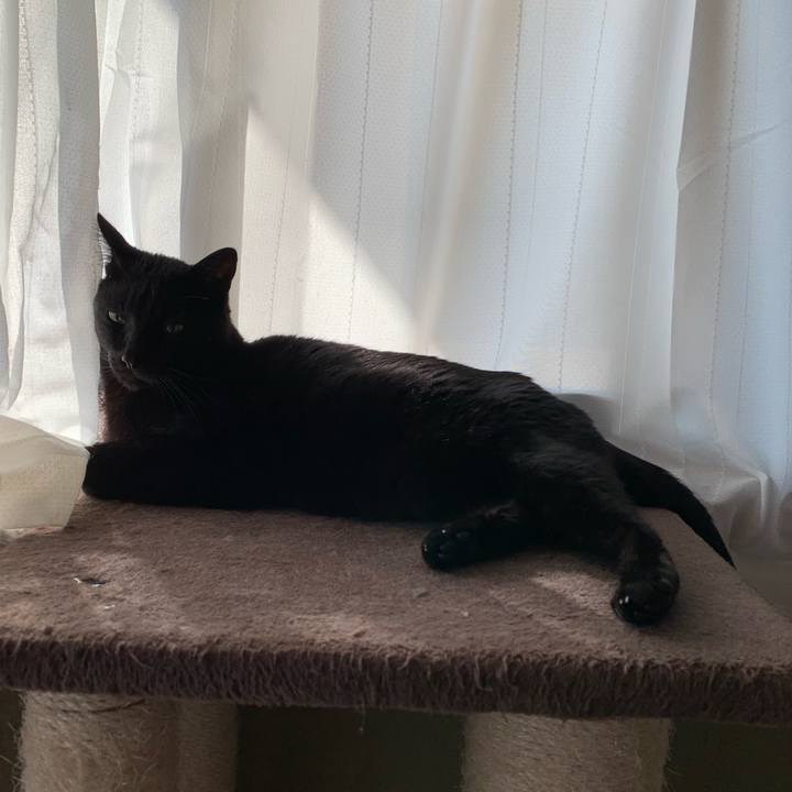 382438da 9ead 496b 94cf 01ad8b923c6e 1551401594295