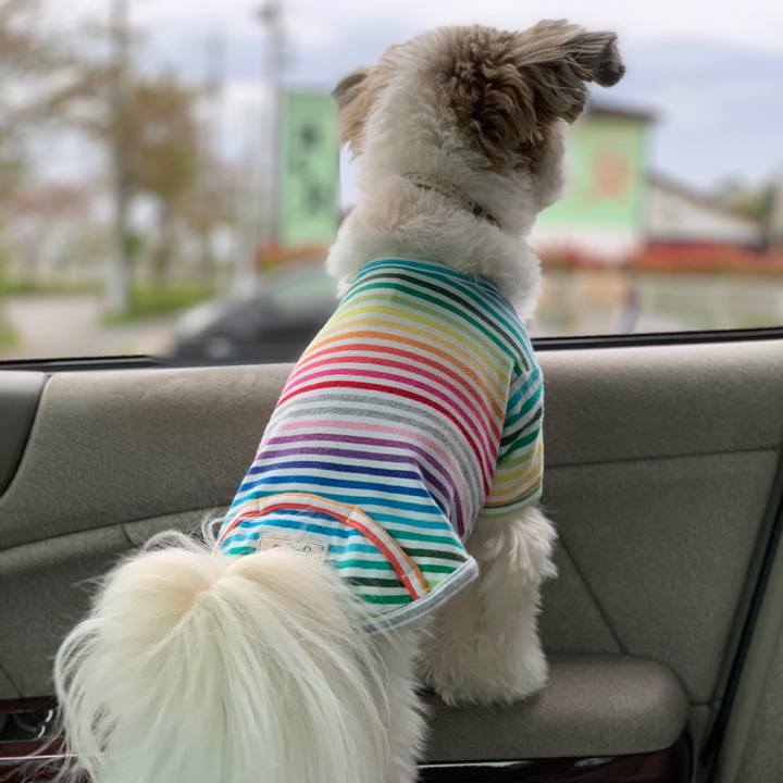 3824526f 13f3 418d 95f9 0fa906c445a3 1617545732771