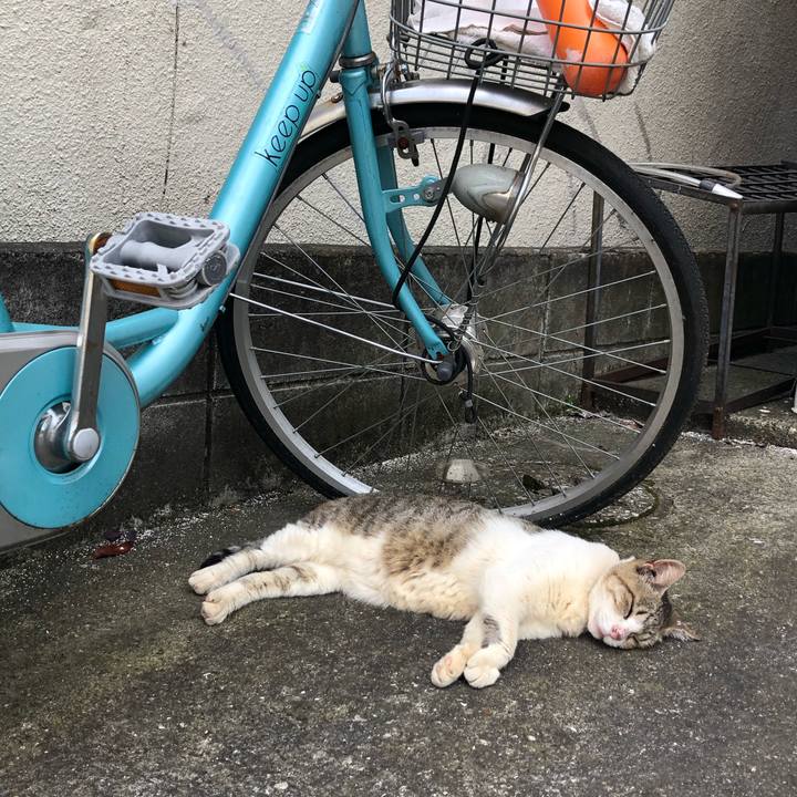 38245515 16e8 4f34 83e2 b59715314c64 1599976554736