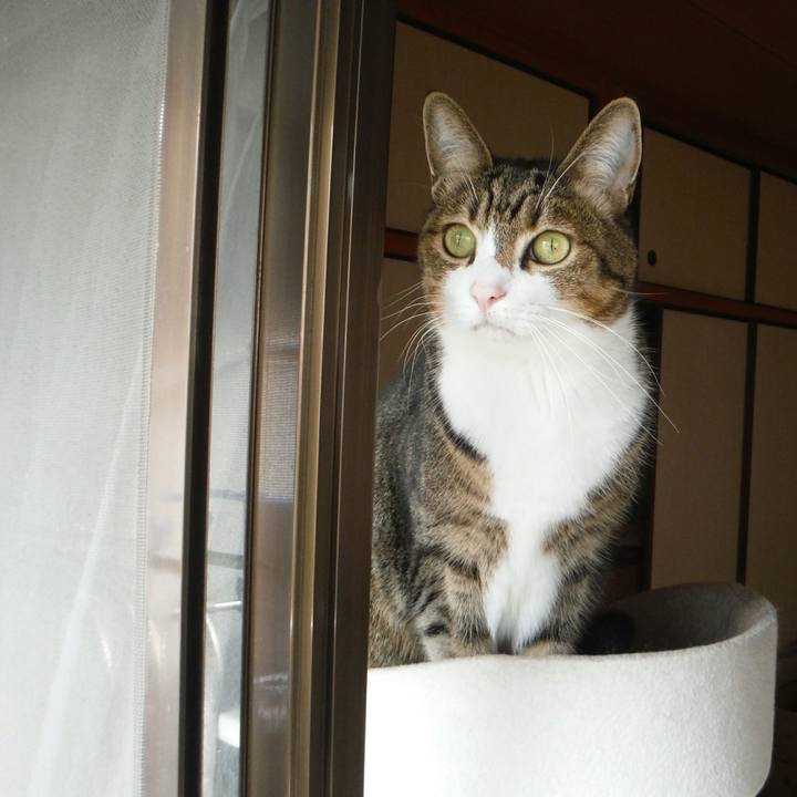 3824b9a8 0eb0 4017 916a 78d62cbb05d4 1545360458758