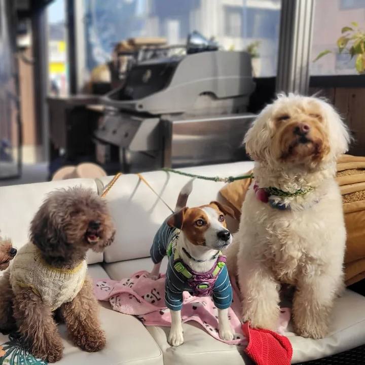 3824c053 aeb7 4a9c b277 0026be4ebd4f 1673654199857