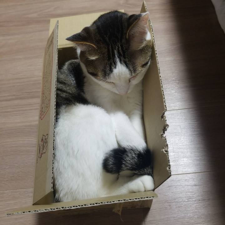 3824f3cf 327f 4cd6 8290 c6d7b087416f 1586258237492