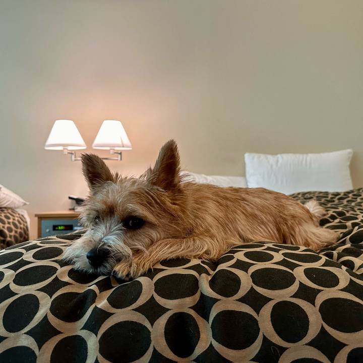 38253980 943e 4a7d bf5b 6de3a21543a3 1722781070652