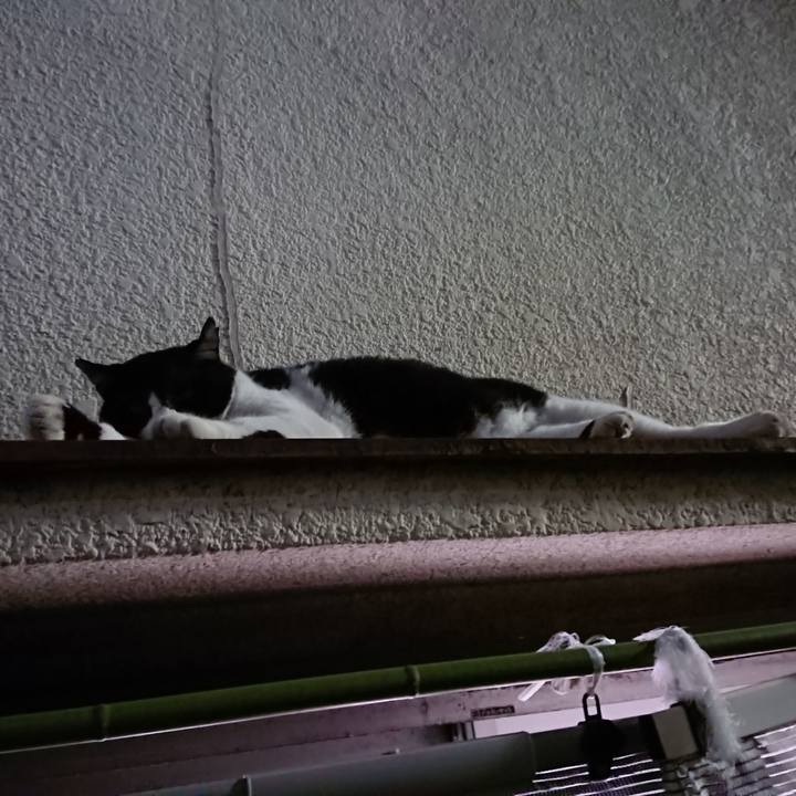 382587d1 b5df 48ea 95a8 785c64a85595 1531921524554