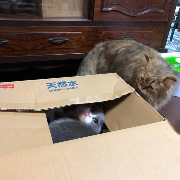 3825a743 1750 453a 897a bacab39815eb 1556613427380