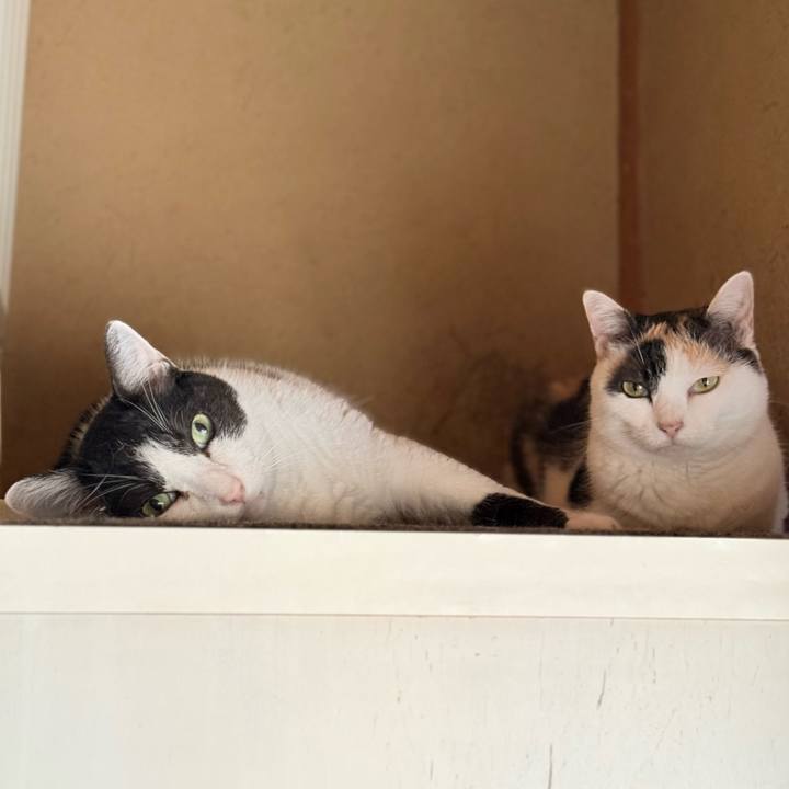 3825e0e6 fb34 4abf 80d3 6cc652a8c01e 1753856467188