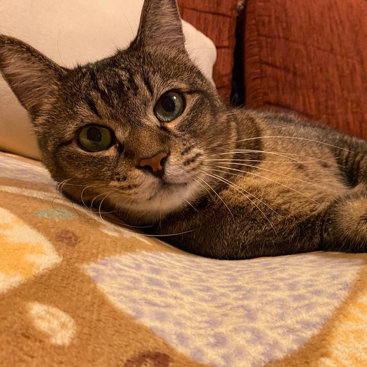 38262184 a53d 4fc9 8753 673bff801e26 1664069925149