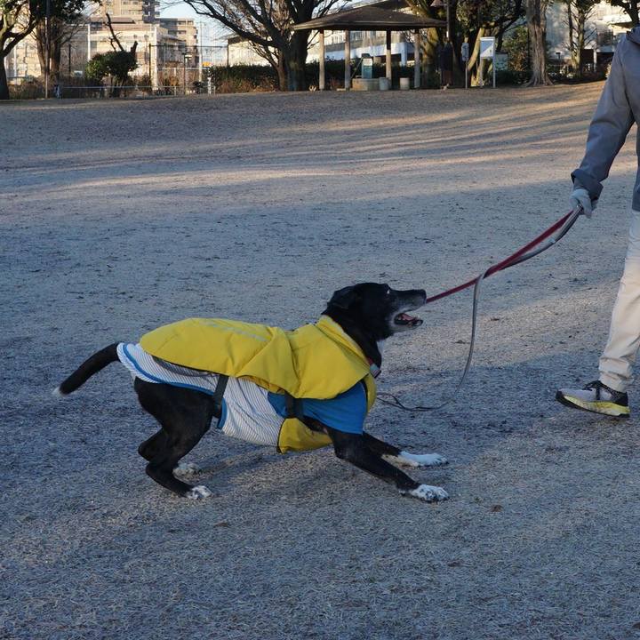 38267bab 0229 4a14 a3e0 d29a32a19301 1767574177891