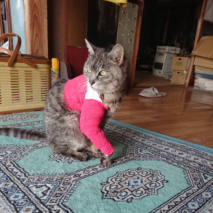 38269711 125b 498d 8ed4 0fca34d291d7 1586593326547